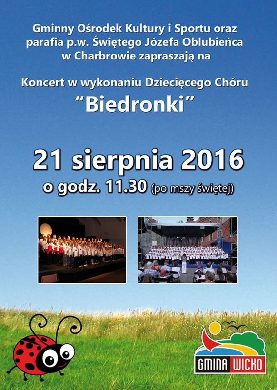 Grafika #0: Biedronki łączą siły