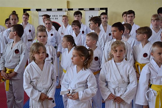 Grafika #290: Międzyklubowe Mistrzostwa Polskiej Federacji Okinawa Goju-Ryu Karate Do