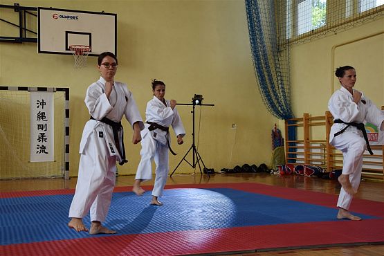 Grafika #267: Międzyklubowe Mistrzostwa Polskiej Federacji Okinawa Goju-Ryu Karate Do
