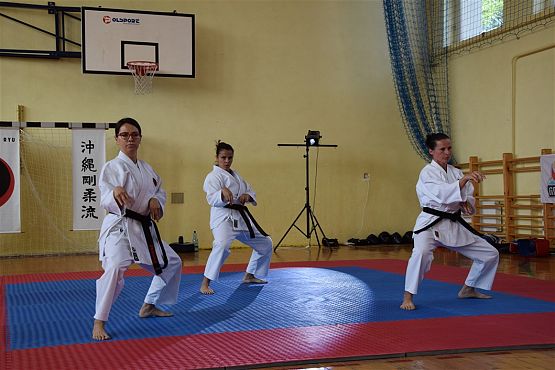 Grafika #266: Międzyklubowe Mistrzostwa Polskiej Federacji Okinawa Goju-Ryu Karate Do