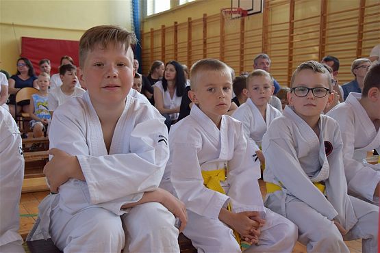 Grafika #265: Międzyklubowe Mistrzostwa Polskiej Federacji Okinawa Goju-Ryu Karate Do