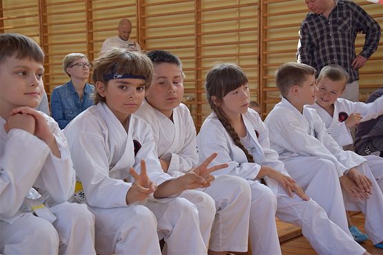 Grafika #260: Międzyklubowe Mistrzostwa Polskiej Federacji Okinawa Goju-Ryu Karate Do