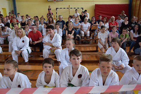 Grafika #253: Międzyklubowe Mistrzostwa Polskiej Federacji Okinawa Goju-Ryu Karate Do