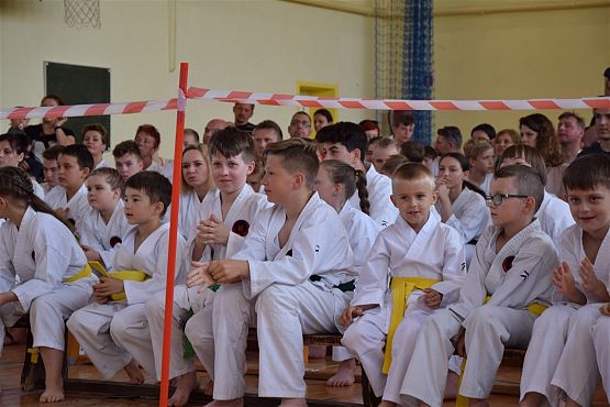 Grafika #247: Międzyklubowe Mistrzostwa Polskiej Federacji Okinawa Goju-Ryu Karate Do