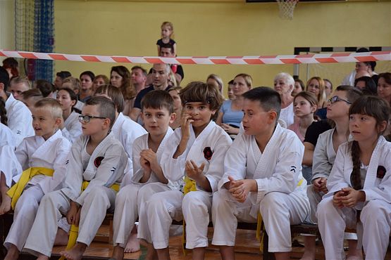 Grafika #246: Międzyklubowe Mistrzostwa Polskiej Federacji Okinawa Goju-Ryu Karate Do
