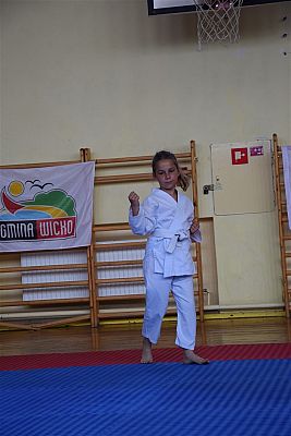 Grafika #242: Międzyklubowe Mistrzostwa Polskiej Federacji Okinawa Goju-Ryu Karate Do
