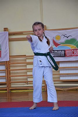 Grafika #244: Międzyklubowe Mistrzostwa Polskiej Federacji Okinawa Goju-Ryu Karate Do