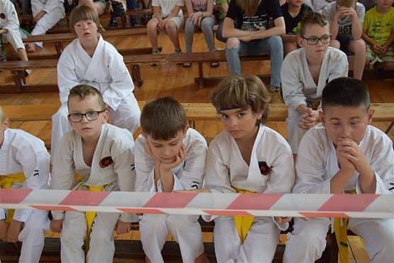 Grafika #238: Międzyklubowe Mistrzostwa Polskiej Federacji Okinawa Goju-Ryu Karate Do