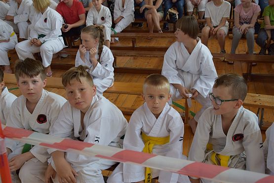 Grafika #237: Międzyklubowe Mistrzostwa Polskiej Federacji Okinawa Goju-Ryu Karate Do