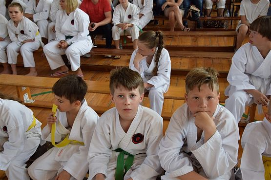 Grafika #236: Międzyklubowe Mistrzostwa Polskiej Federacji Okinawa Goju-Ryu Karate Do