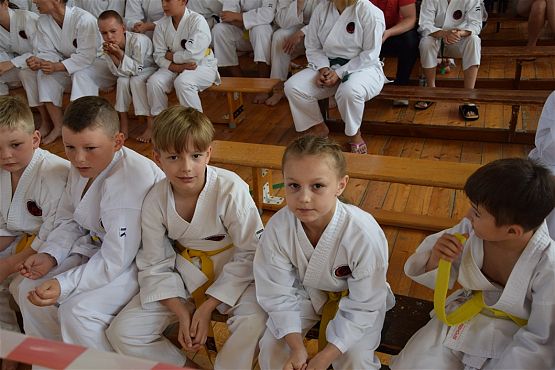 Grafika #231: Międzyklubowe Mistrzostwa Polskiej Federacji Okinawa Goju-Ryu Karate Do