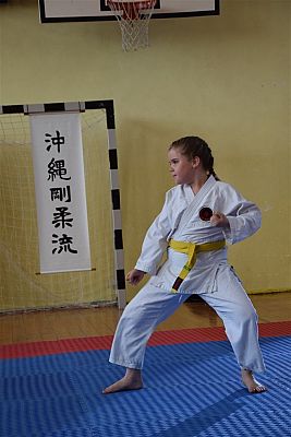 Grafika #234: Międzyklubowe Mistrzostwa Polskiej Federacji Okinawa Goju-Ryu Karate Do