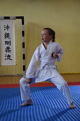 Grafika #226: Międzyklubowe Mistrzostwa Polskiej Federacji Okinawa Goju-Ryu Karate Do