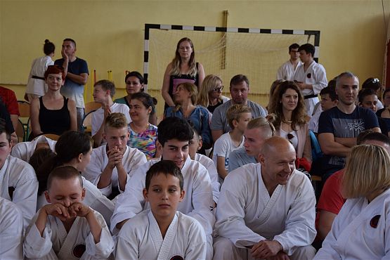 Grafika #224: Międzyklubowe Mistrzostwa Polskiej Federacji Okinawa Goju-Ryu Karate Do
