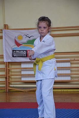 Grafika #225: Międzyklubowe Mistrzostwa Polskiej Federacji Okinawa Goju-Ryu Karate Do