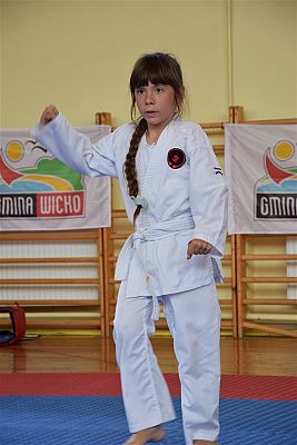 Grafika #220: Międzyklubowe Mistrzostwa Polskiej Federacji Okinawa Goju-Ryu Karate Do