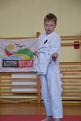Grafika #218: Międzyklubowe Mistrzostwa Polskiej Federacji Okinawa Goju-Ryu Karate Do