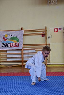 Grafika #217: Międzyklubowe Mistrzostwa Polskiej Federacji Okinawa Goju-Ryu Karate Do