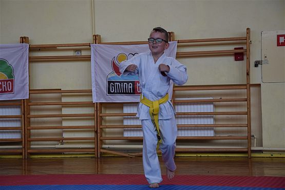 Grafika #216: Międzyklubowe Mistrzostwa Polskiej Federacji Okinawa Goju-Ryu Karate Do