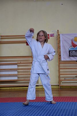 Grafika #212: Międzyklubowe Mistrzostwa Polskiej Federacji Okinawa Goju-Ryu Karate Do