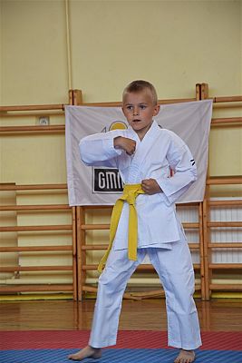 Grafika #210: Międzyklubowe Mistrzostwa Polskiej Federacji Okinawa Goju-Ryu Karate Do