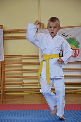 Grafika #209: Międzyklubowe Mistrzostwa Polskiej Federacji Okinawa Goju-Ryu Karate Do