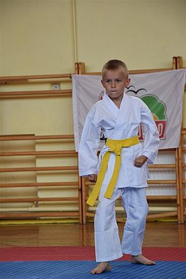 Grafika #208: Międzyklubowe Mistrzostwa Polskiej Federacji Okinawa Goju-Ryu Karate Do