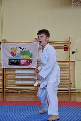 Grafika #207: Międzyklubowe Mistrzostwa Polskiej Federacji Okinawa Goju-Ryu Karate Do