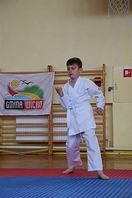 Grafika #206: Międzyklubowe Mistrzostwa Polskiej Federacji Okinawa Goju-Ryu Karate Do