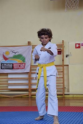 Grafika #201: Międzyklubowe Mistrzostwa Polskiej Federacji Okinawa Goju-Ryu Karate Do