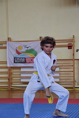 Grafika #202: Międzyklubowe Mistrzostwa Polskiej Federacji Okinawa Goju-Ryu Karate Do
