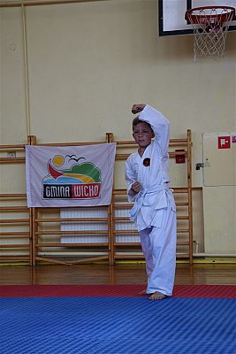 Grafika #203: Międzyklubowe Mistrzostwa Polskiej Federacji Okinawa Goju-Ryu Karate Do