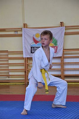 Grafika #204: Międzyklubowe Mistrzostwa Polskiej Federacji Okinawa Goju-Ryu Karate Do