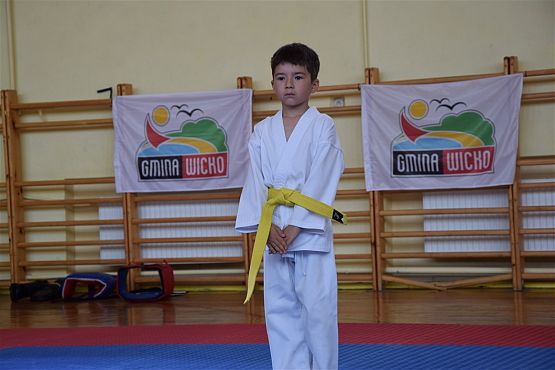 Grafika #199: Międzyklubowe Mistrzostwa Polskiej Federacji Okinawa Goju-Ryu Karate Do