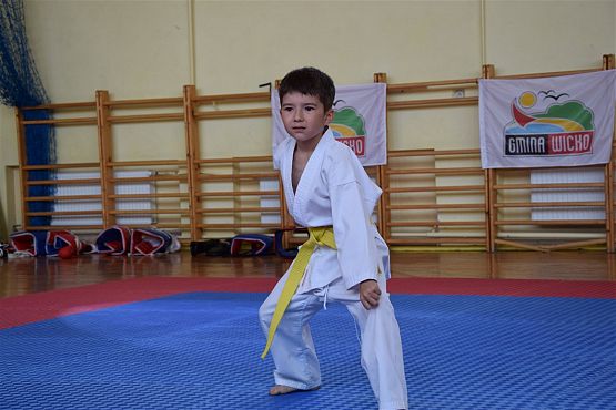 Grafika #198: Międzyklubowe Mistrzostwa Polskiej Federacji Okinawa Goju-Ryu Karate Do