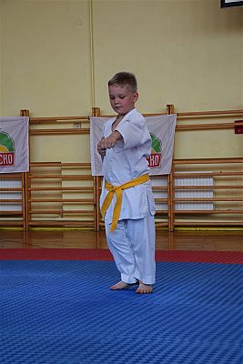 Grafika #197: Międzyklubowe Mistrzostwa Polskiej Federacji Okinawa Goju-Ryu Karate Do