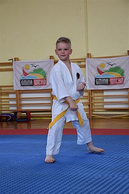 Grafika #196: Międzyklubowe Mistrzostwa Polskiej Federacji Okinawa Goju-Ryu Karate Do