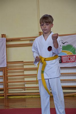 Grafika #191: Międzyklubowe Mistrzostwa Polskiej Federacji Okinawa Goju-Ryu Karate Do