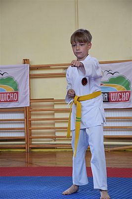 Grafika #192: Międzyklubowe Mistrzostwa Polskiej Federacji Okinawa Goju-Ryu Karate Do