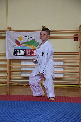Grafika #193: Międzyklubowe Mistrzostwa Polskiej Federacji Okinawa Goju-Ryu Karate Do