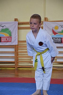 Grafika #194: Międzyklubowe Mistrzostwa Polskiej Federacji Okinawa Goju-Ryu Karate Do