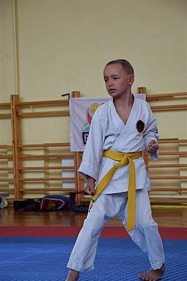 Grafika #189: Międzyklubowe Mistrzostwa Polskiej Federacji Okinawa Goju-Ryu Karate Do