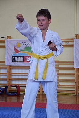 Grafika #188: Międzyklubowe Mistrzostwa Polskiej Federacji Okinawa Goju-Ryu Karate Do