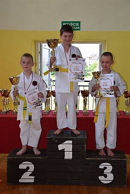 Grafika #186: Międzyklubowe Mistrzostwa Polskiej Federacji Okinawa Goju-Ryu Karate Do