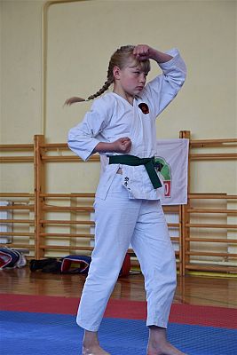 Grafika #181: Międzyklubowe Mistrzostwa Polskiej Federacji Okinawa Goju-Ryu Karate Do
