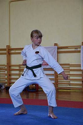 Grafika #182: Międzyklubowe Mistrzostwa Polskiej Federacji Okinawa Goju-Ryu Karate Do