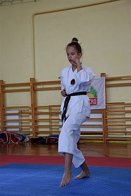 Grafika #185: Międzyklubowe Mistrzostwa Polskiej Federacji Okinawa Goju-Ryu Karate Do