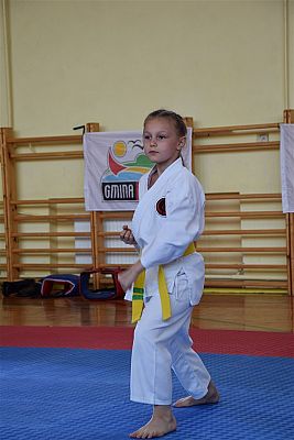 Grafika #179: Międzyklubowe Mistrzostwa Polskiej Federacji Okinawa Goju-Ryu Karate Do