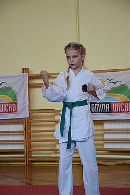 Grafika #177: Międzyklubowe Mistrzostwa Polskiej Federacji Okinawa Goju-Ryu Karate Do