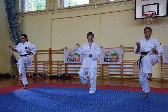 Grafika #176: Międzyklubowe Mistrzostwa Polskiej Federacji Okinawa Goju-Ryu Karate Do